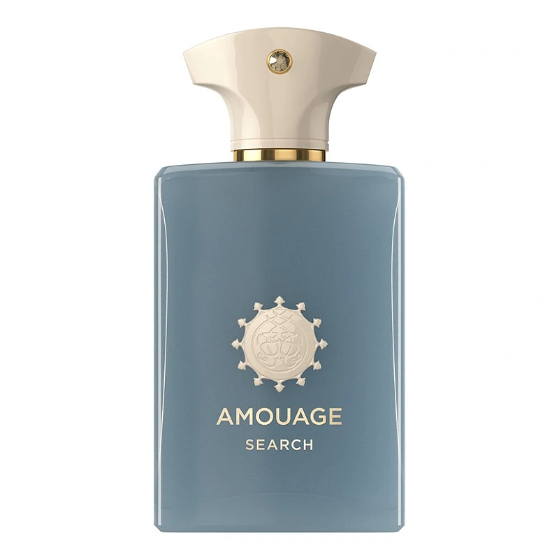 AMOUAGE SEARCH EDP 100ML